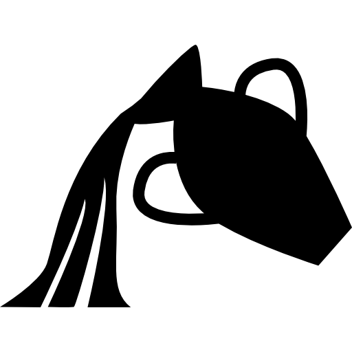 Aquarius